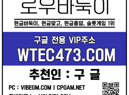 고액바둑이 로우바둑이